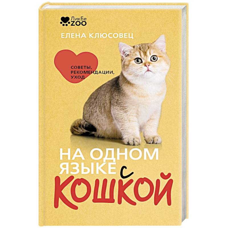 Фото На одном языке с кошкой. Советы, рекомендации, уход