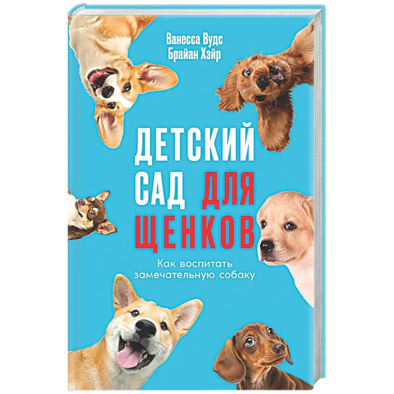 Фото Детский сад для щенков: Как воспитать замечательную собаку