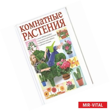 Фото Комнатные растения