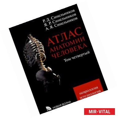 Фото Атлас анатомии человека. В 4-х томах. Том 4. Учение о нервной системе и органах чувств