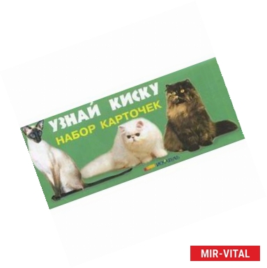 Фото Узнай киску. Набор карточек