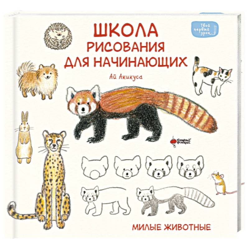 Фото Школа рисования для начинающих. Милые животные
