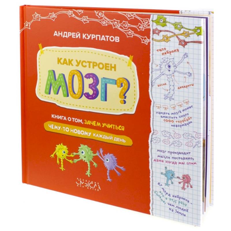 Фото Как устроен мозг? Книга о том, зачем учиться