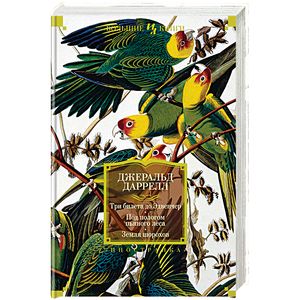 Фото Три билета до Эдвенчер. Под пологом пьяного леса. Земля шорохов