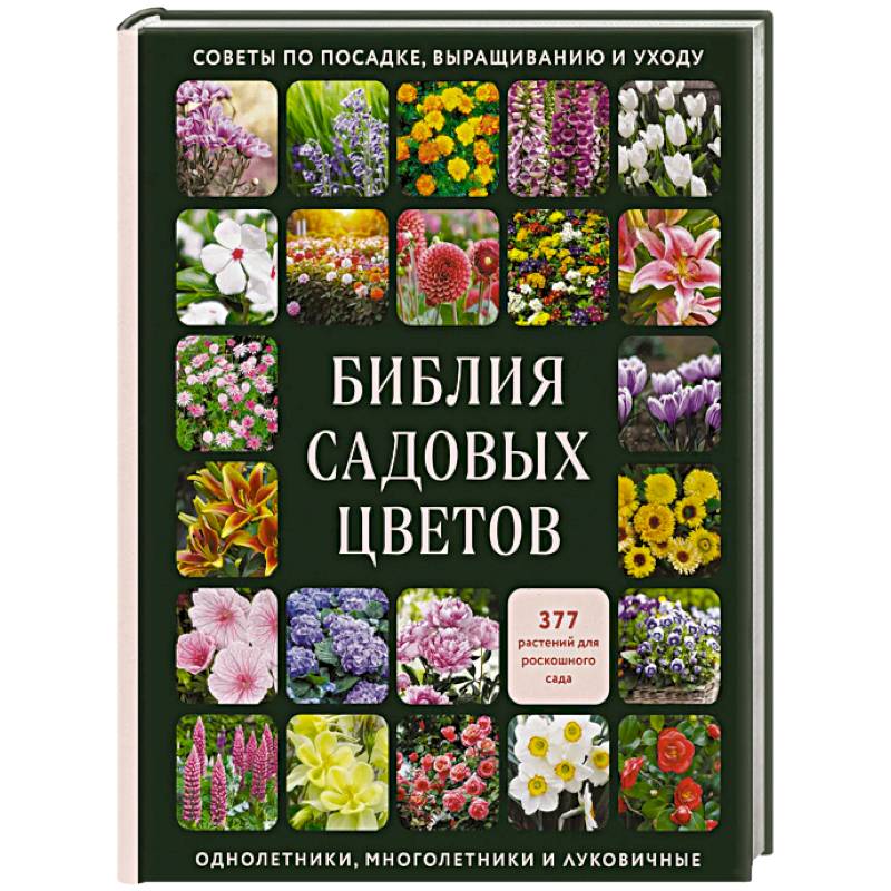 Фото Библия садовых цветов. Однолетники, многолетники и луковичные. Советы по посадке, выращиванию и уходу