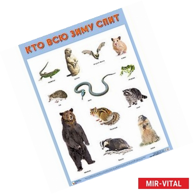Фото Плакат 'Кто всю зиму спит'