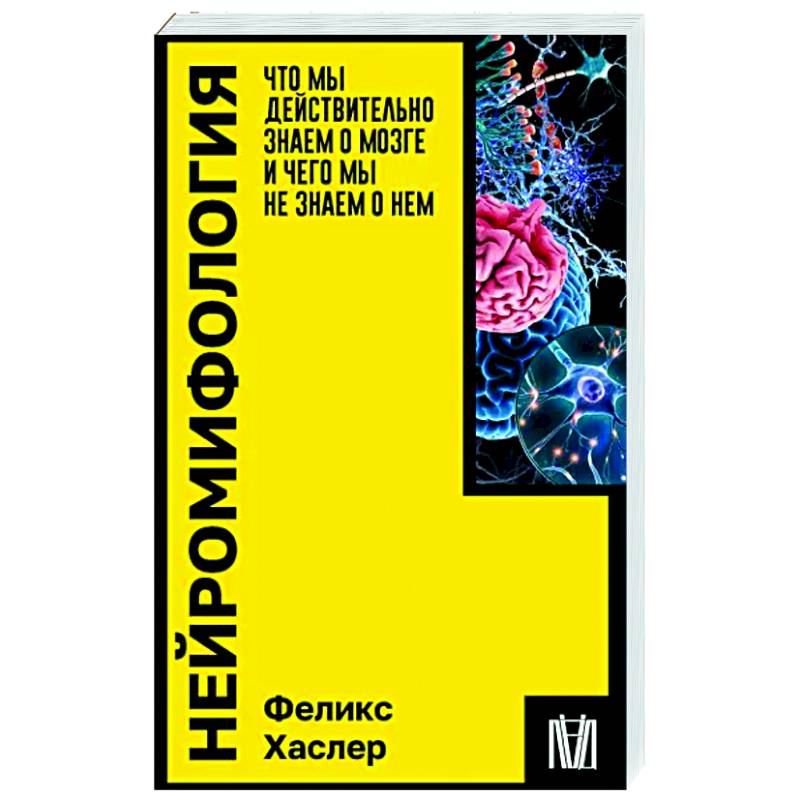 Фото Нейромифология. Что мы действительно знаем о мозге и чего мы не знаем о нем