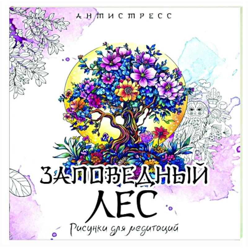 Фото Заповедный лес. Рисунки для медитаций