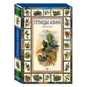 Фото Птицы Азии