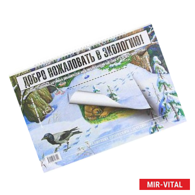 Фото Добро пожаловать в экологию. Серия демонстрационных картин для занятий с детьми 4-5 лет