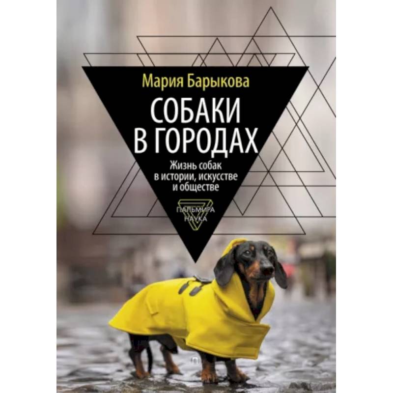 Фото Собаки в городах