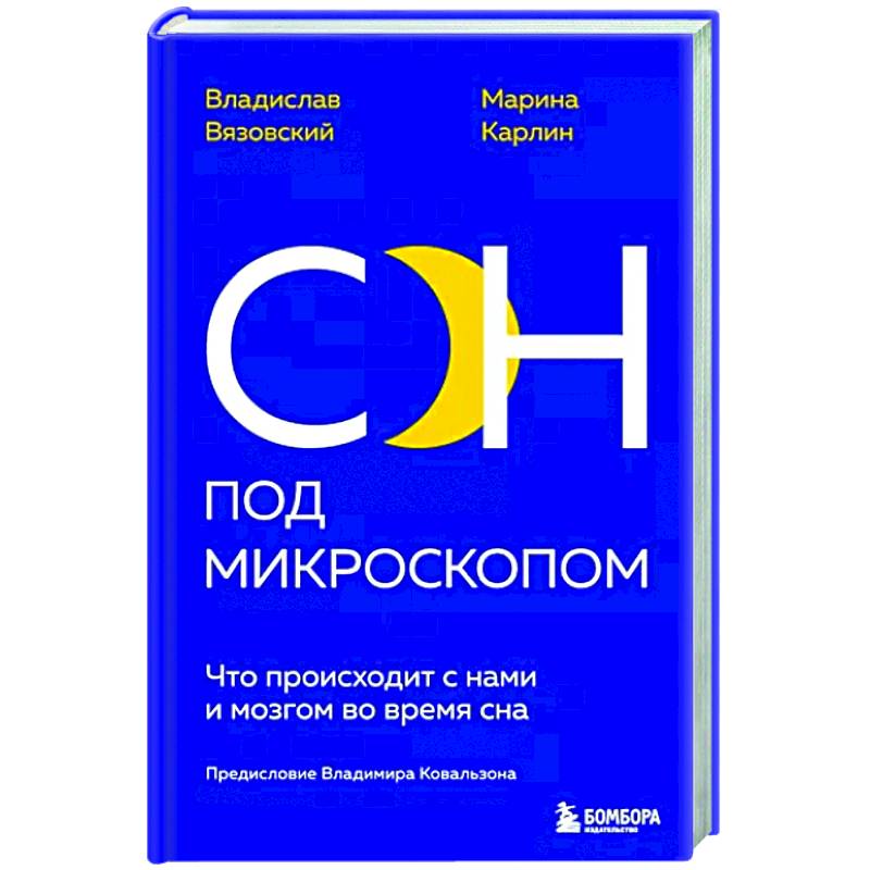 Фото Сон под микроскопом. Что происходит с нами и мозгом во время сна