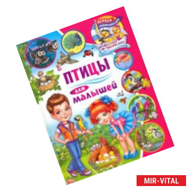 Фото Птицы для малышей