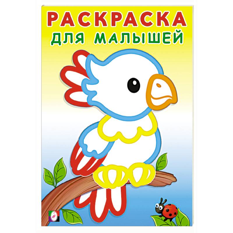 Фото Попугайчик