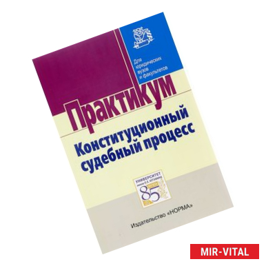 Фото Конституционный судебный процесс. Практикум