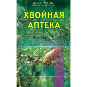 Фото Хвойная аптека. Лесными тропинками за здоровьем