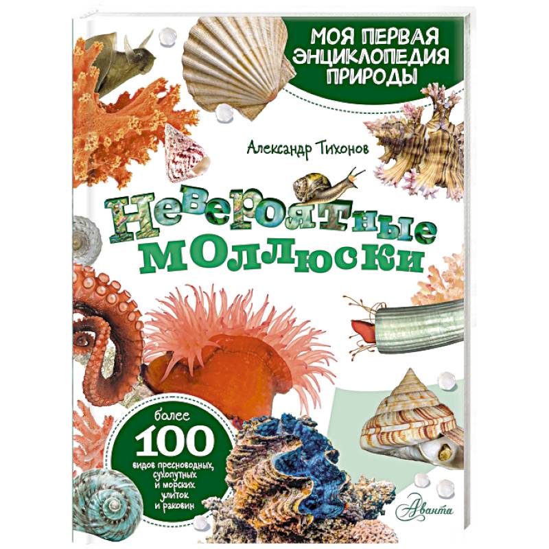 Фото Невероятные моллюски