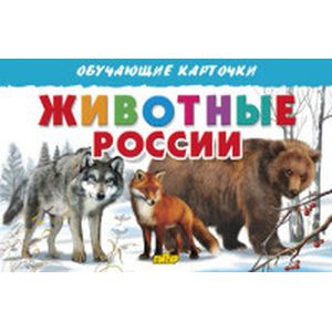 Фото Животные России