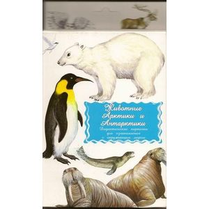 Фото Дидактические карточки. Животные Арктики и Антарктики