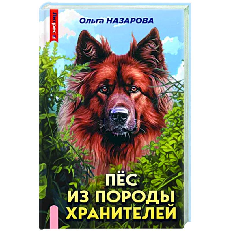 Фото Пёс из породы хранителей