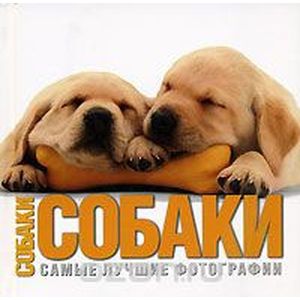 Фото Альбом. Собаки. Самые лучшие фотографии