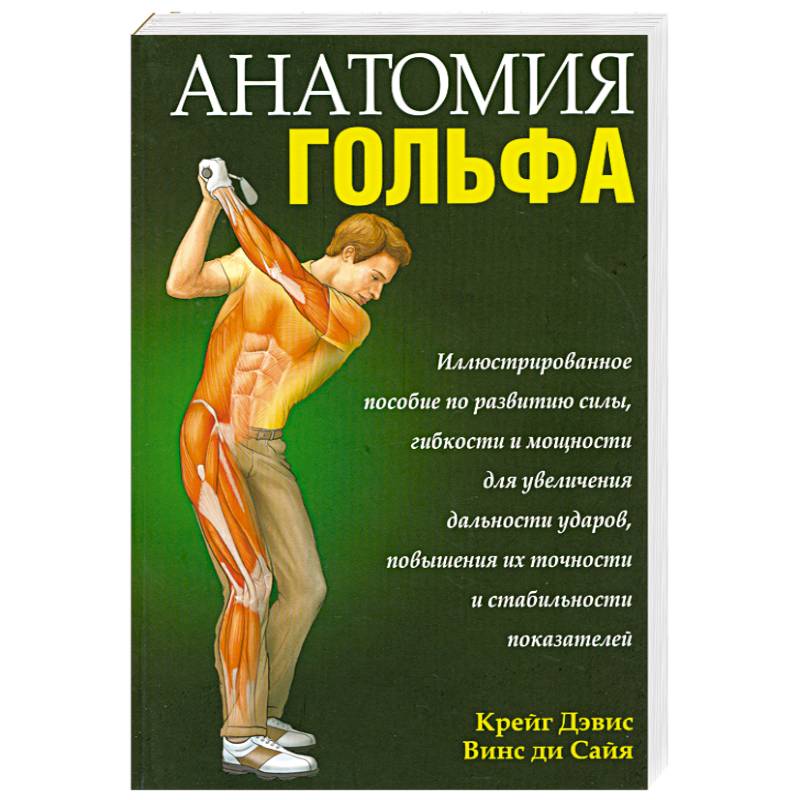 Фото Анатомия гольфа