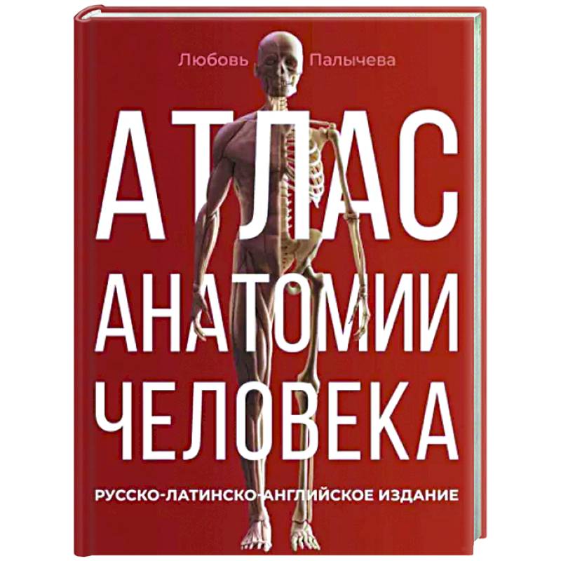 Фото Атлас анатомии человека. Русско-латинско-английское издание