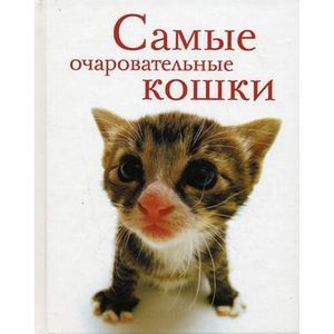 Фото Самые очаровательные кошки