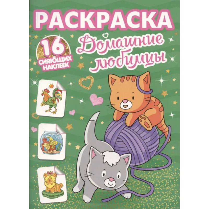 Фото Домашние любимцы