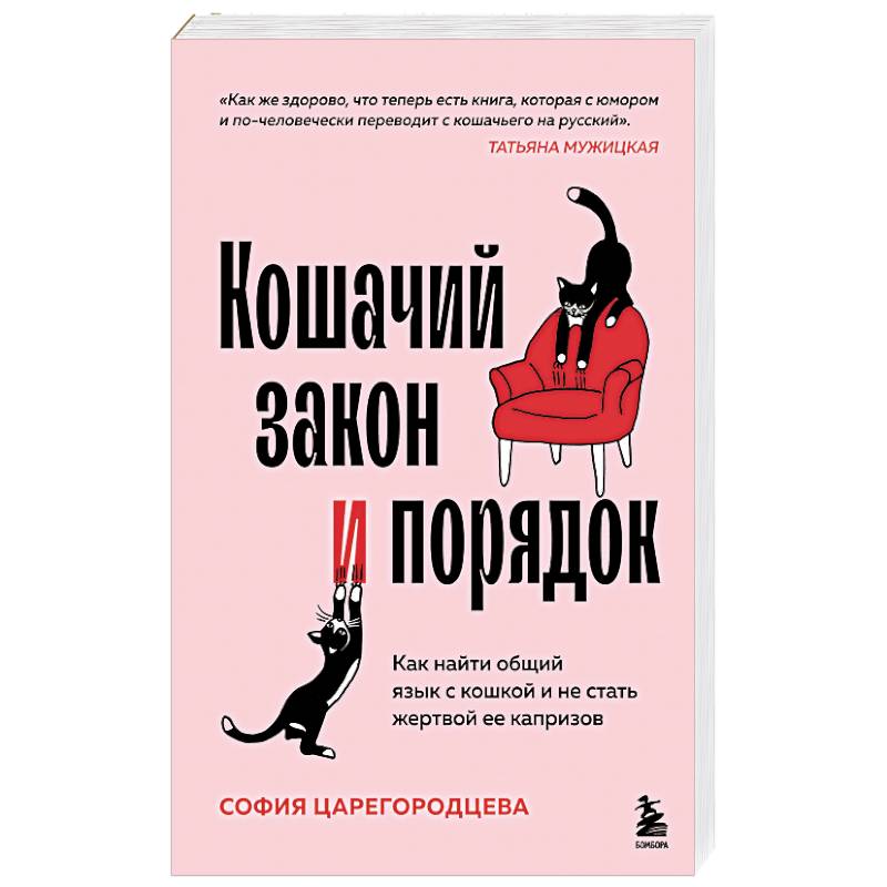 Фото Кошачий закон и порядок. Как найти общий язык с кошкой и не стать жертвой ее капризов