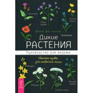 Фото Дикие растения. Руководство для ведьмы. Обычные травы для необычной магии