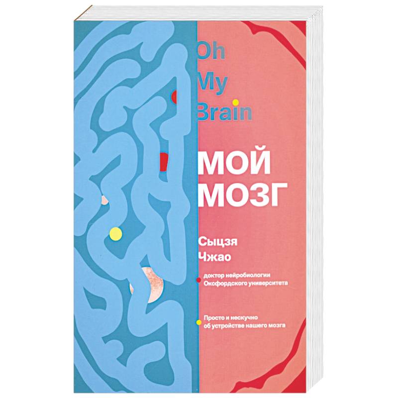 Фото Мой мозг