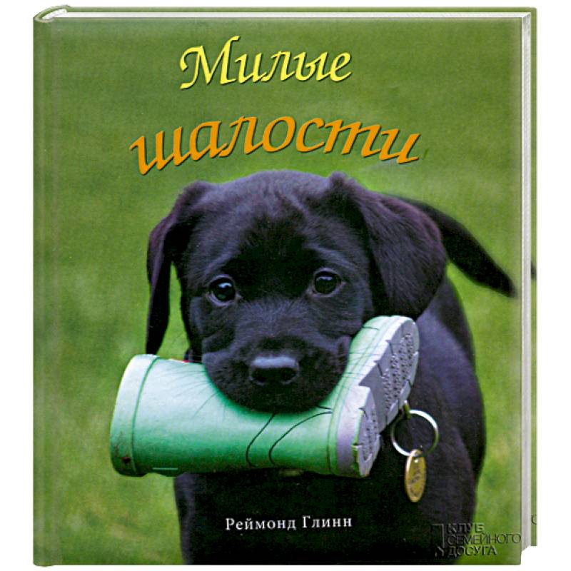 Фото Милые шалости