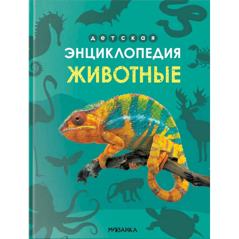 Фото Животные