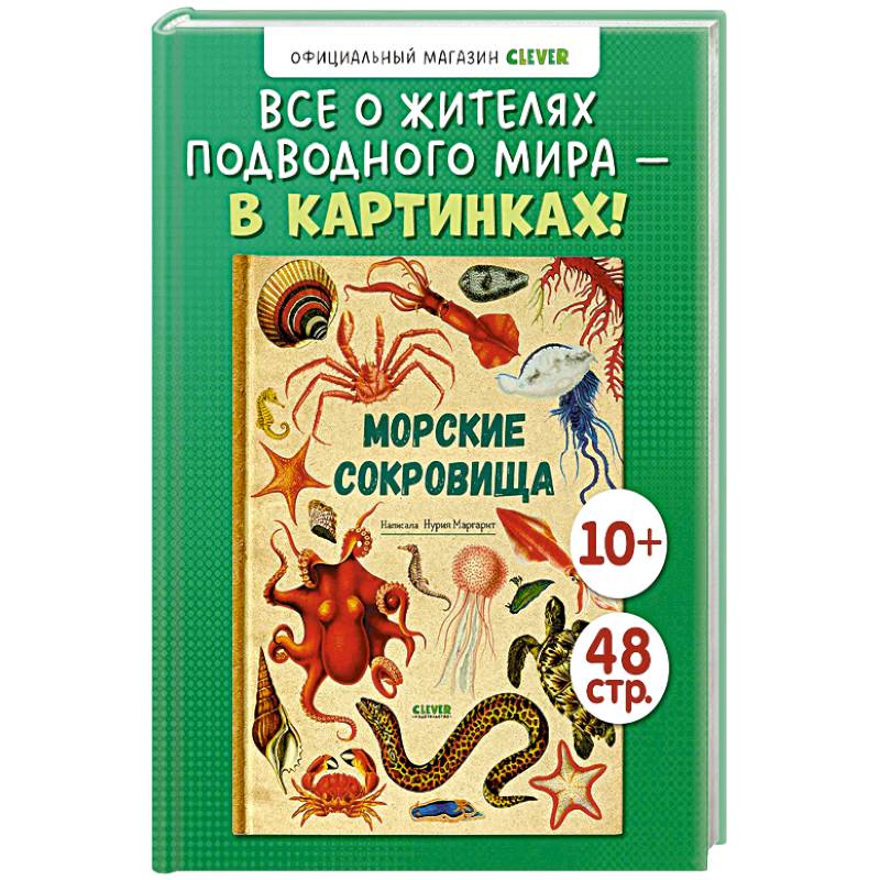 Фото Морские сокровища