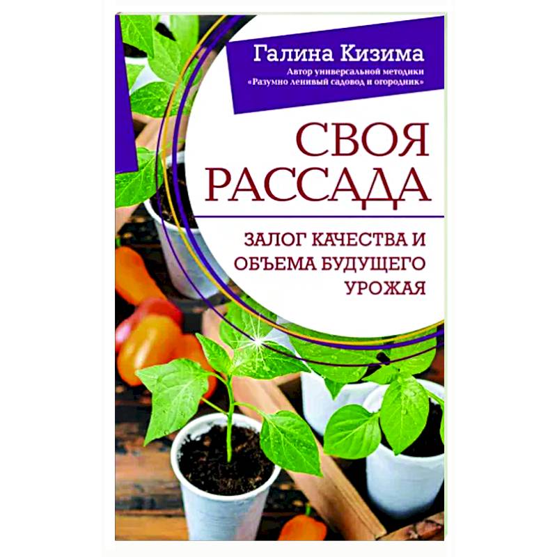 Фото Своя рассада. Залог качества и объема будущего урожая