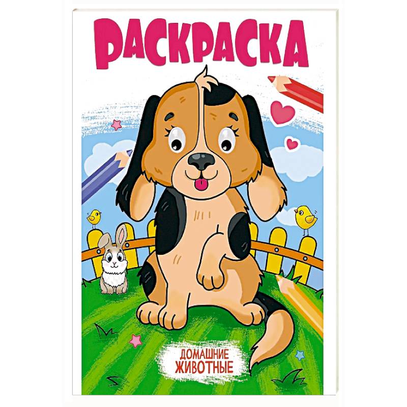 Фото Домашние животные