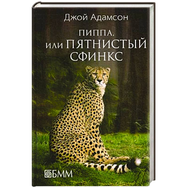 Фото Пиппа, или пятнистый сфинкс