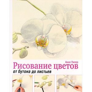 Фото Рисование цветов от бутона до листьев