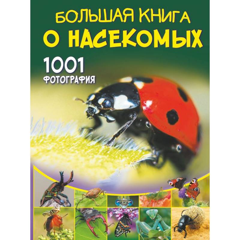 Фото Большая книга о насекомых. 1001 фотография