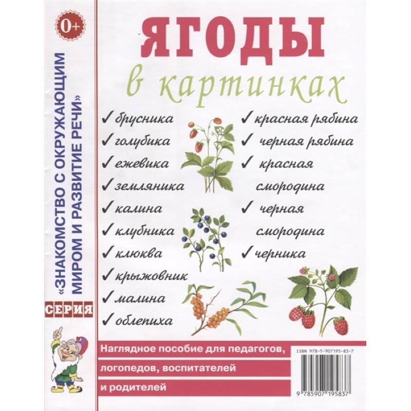 Фото Ягоды в картинках. Наглядное пособие для педагогов, логопедов, воспитателей и родителей