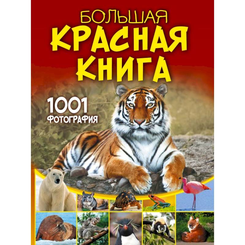 Фото Большая красная книга. 1001 фотография