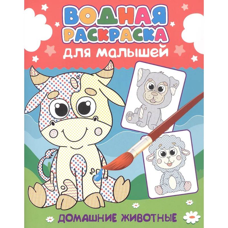 Фото Домашние животные