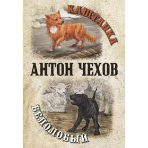 Фото Каштанка. Белолобый