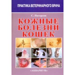 Фото Кожные болезни кошек