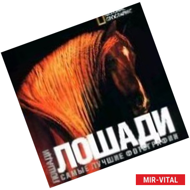 Фото Лошади