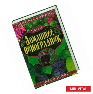 Фото Домашний виноградник.Размножение и выращивание, уход и переработка