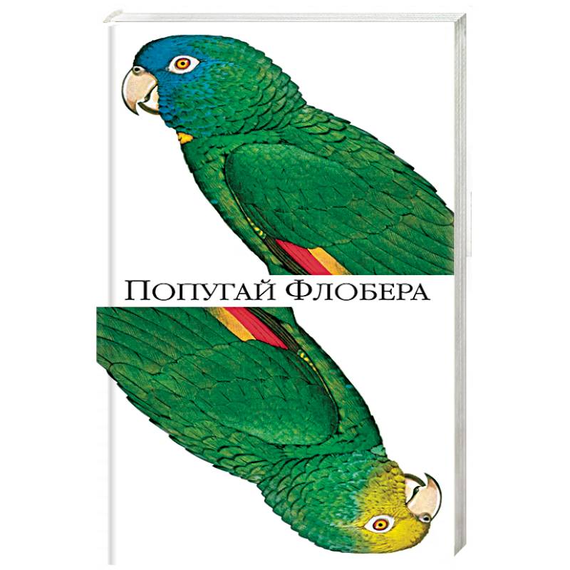 Фото Попугай Флобера