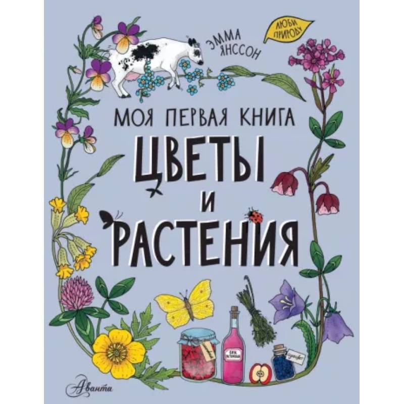 Фото Цветы и растения