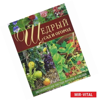 Фото Щедрый сад и огород. Экологически чистые фрукты и овощи